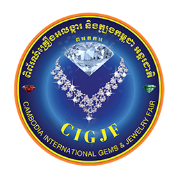 website logo